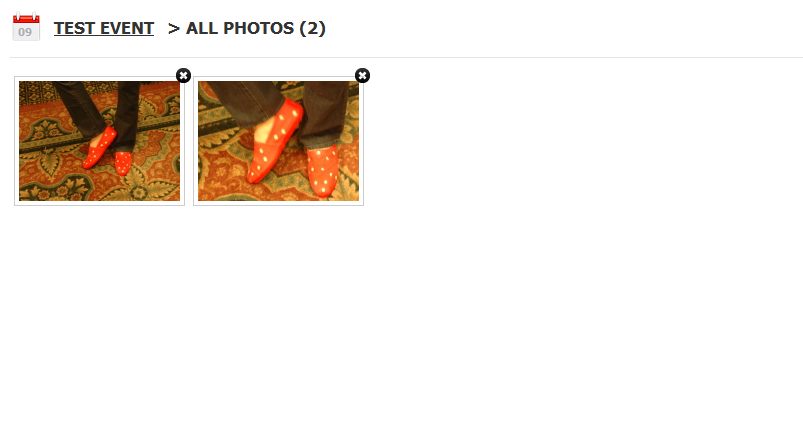 photogallery.png